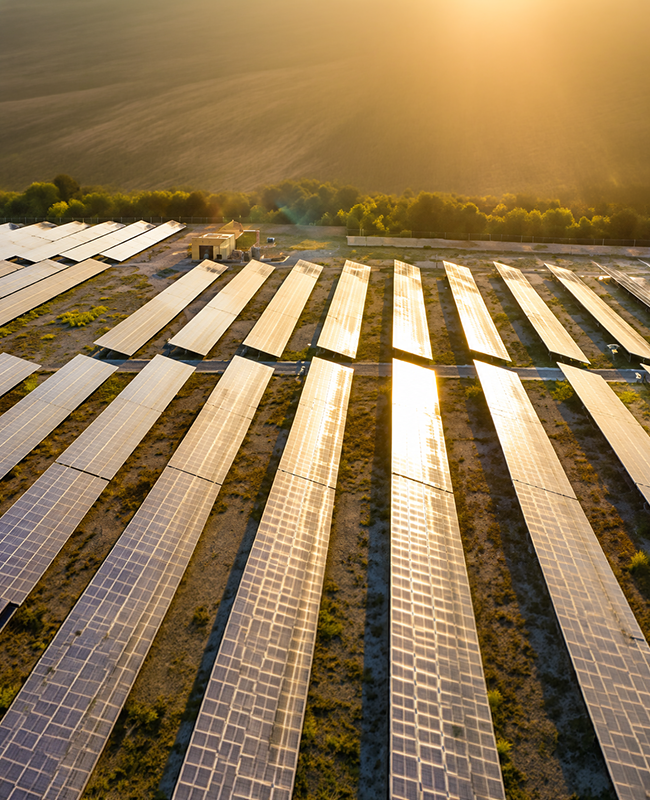 Sustainability